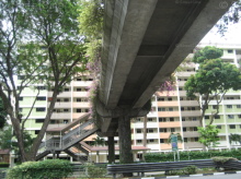 ang-mo-kio-avenue-3 photo thumbnail #11